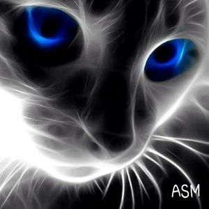 Meet your Posher, Rosa